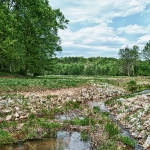 custom built homes creek view