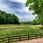 custom built homes pastures
