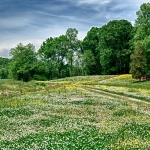 custom built homes land